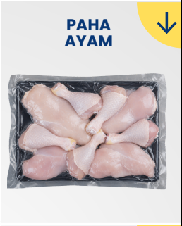 Paha Ayam